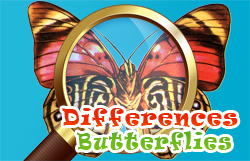 Differences Butterflies thumbnail