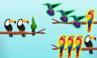 Bird Sort Challenges thumbnail