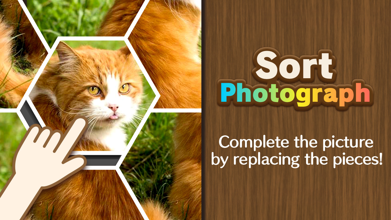 Sort Photograph thumbnail