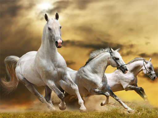 Running Horse Slide thumbnail