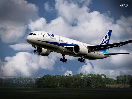 Boeing Dreamliner Puzzle thumbnail