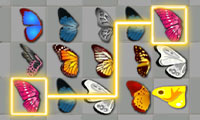 Butterfly Kyodai thumbnail