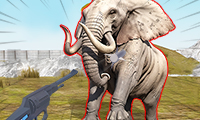 Zoo Anomaly Simulation thumbnail