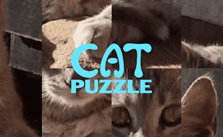 Cat Puzzle thumbnail