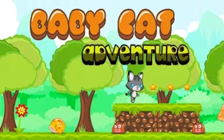 Baby Cat Adventure thumbnail