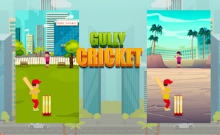 Gully Cricket thumbnail
