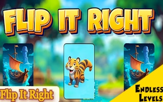 Flip It Right thumbnail