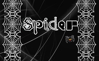 Funny Spider thumbnail