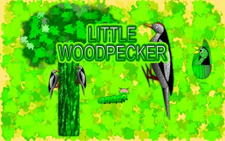 Little Woodpecker thumbnail