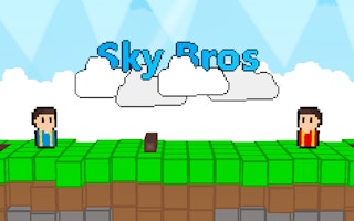 Sky Bros - 2 Players thumbnail
