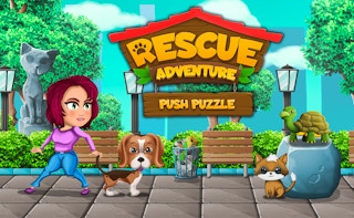 Push Puzzle Rescue Adventure thumbnail